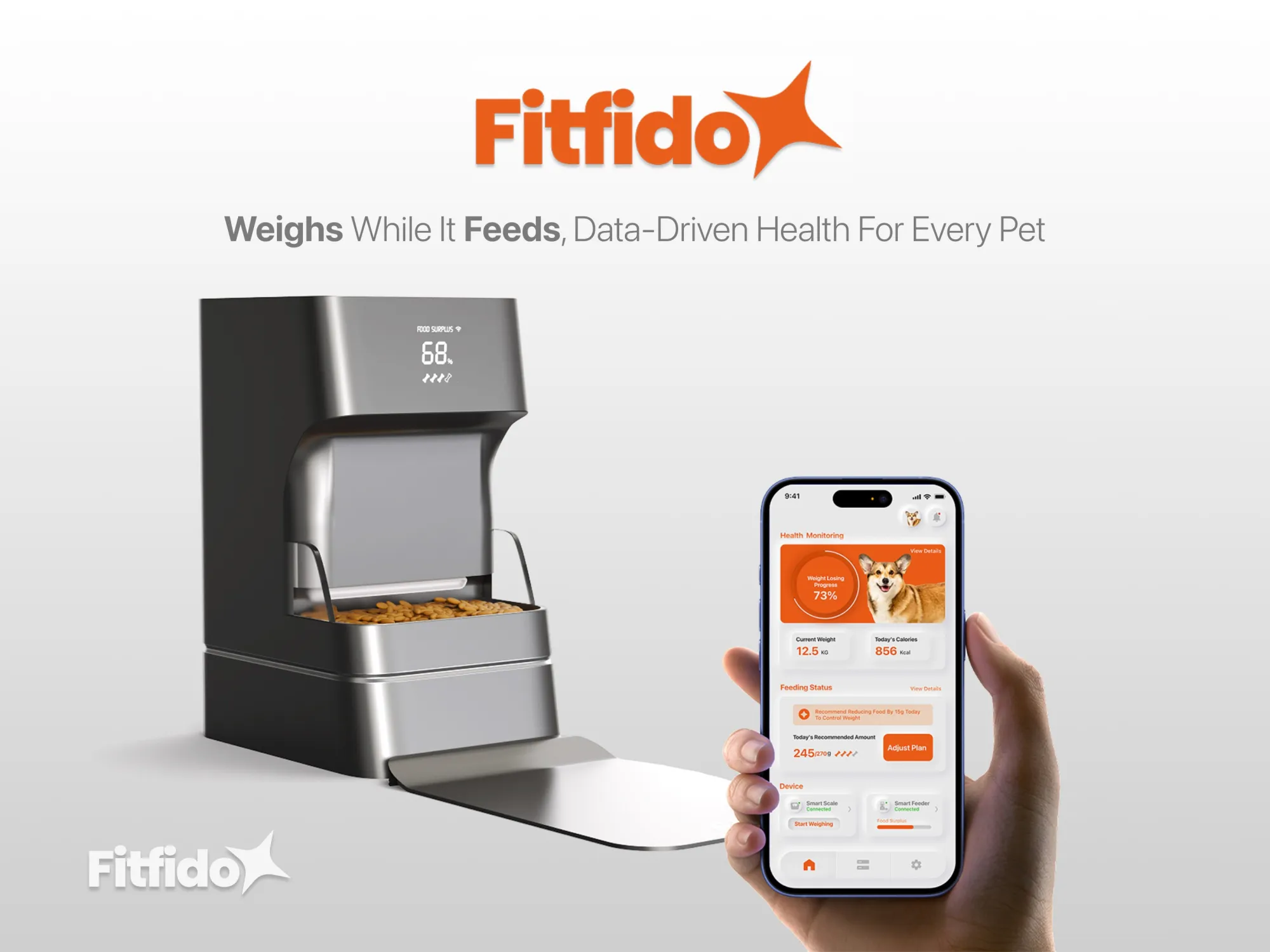 Fitfido poster