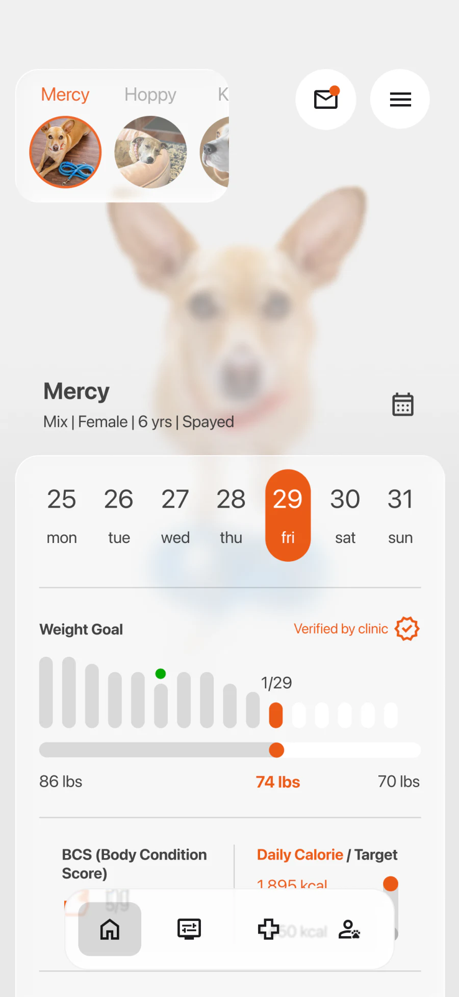 Weight Goal screen