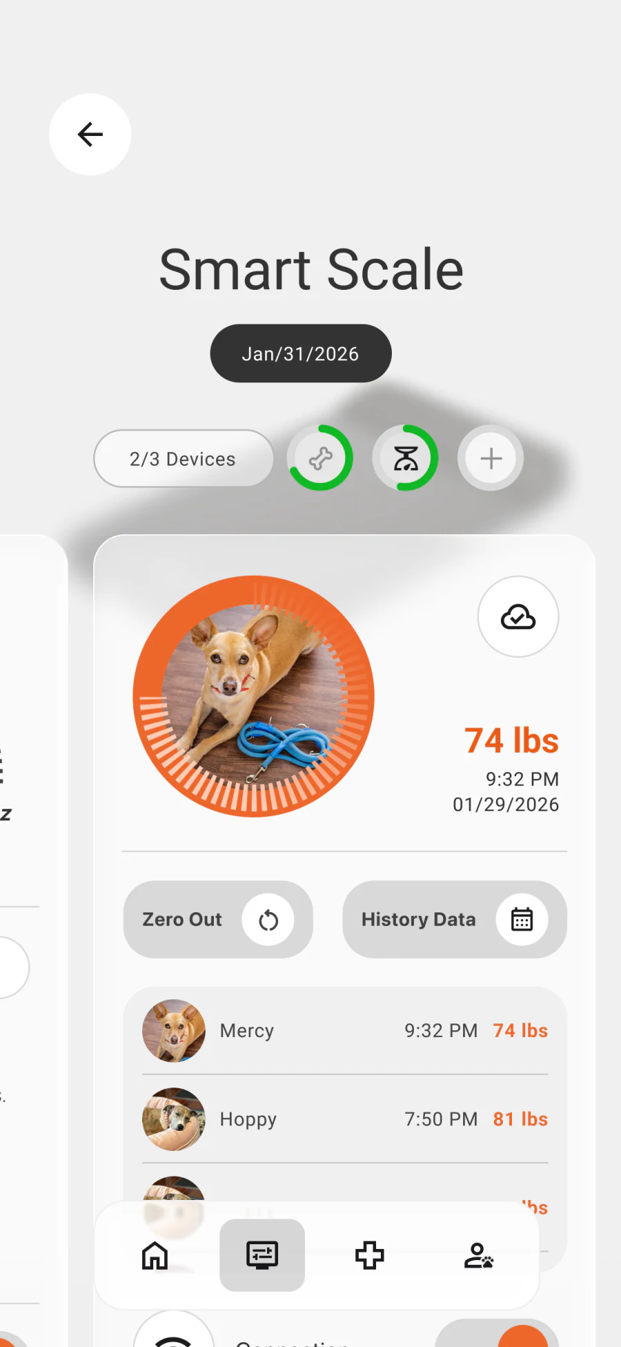 Smart Scale screen