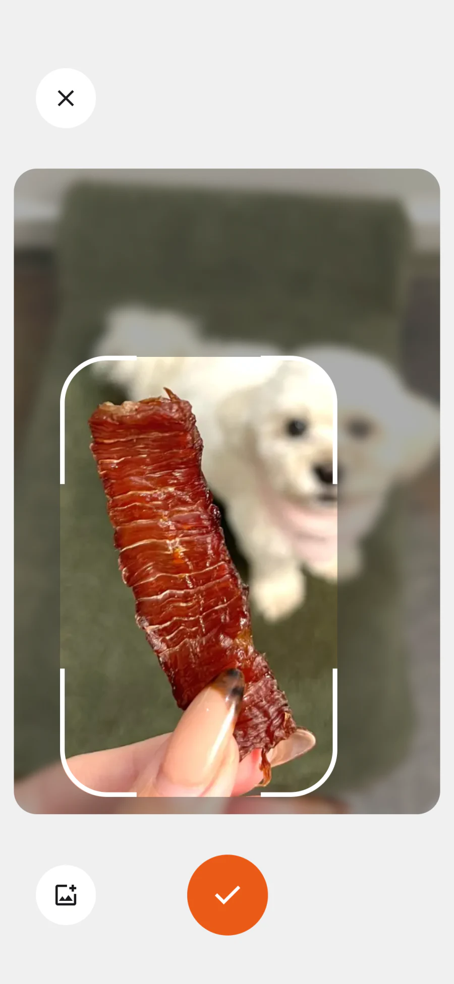 Food Scan screen