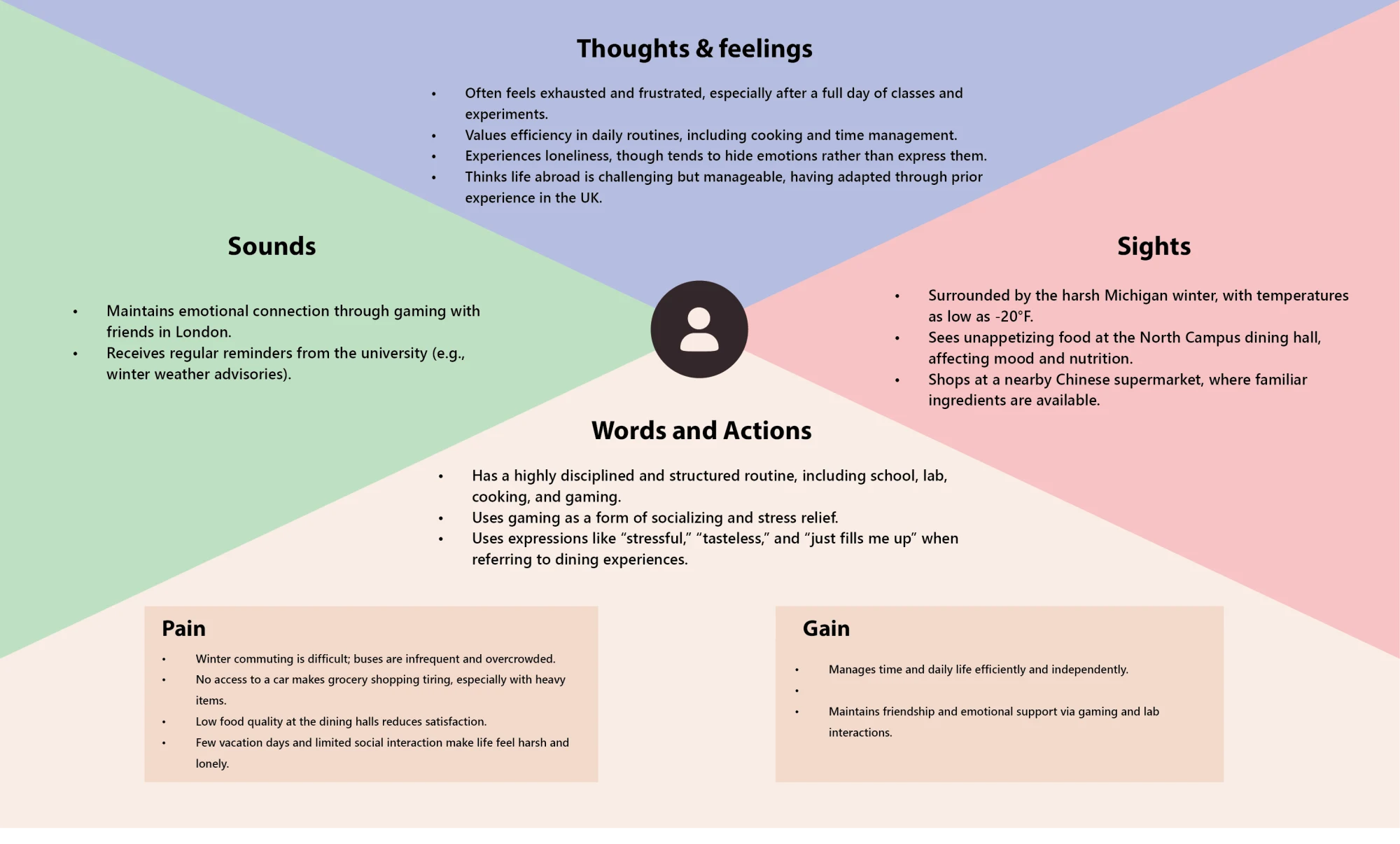 Empathy map for interview 05: thoughts, sounds, sights, words, pain and gain