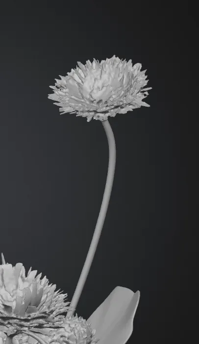 Grey 3D base mesh of the gerbera