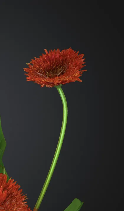 Final textured 3D gerbera